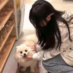 风暴三国应用宝版本下载